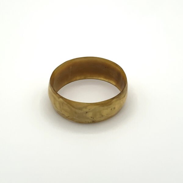 Neutral Color Horn Hangle