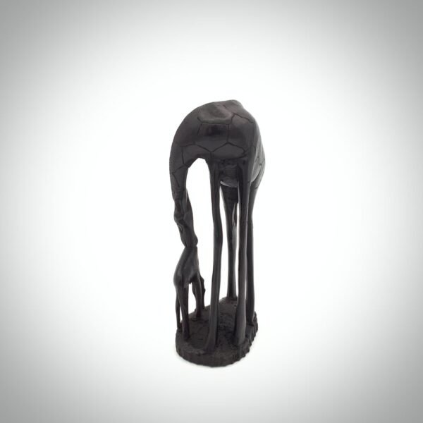 Ebony Giraffe Family