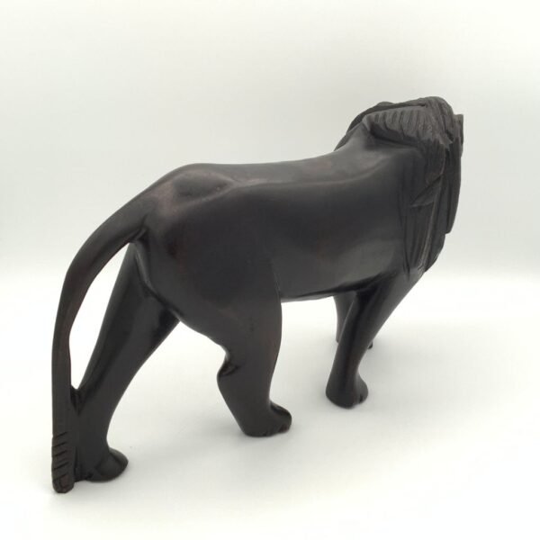 Lion Backview Lion Backview