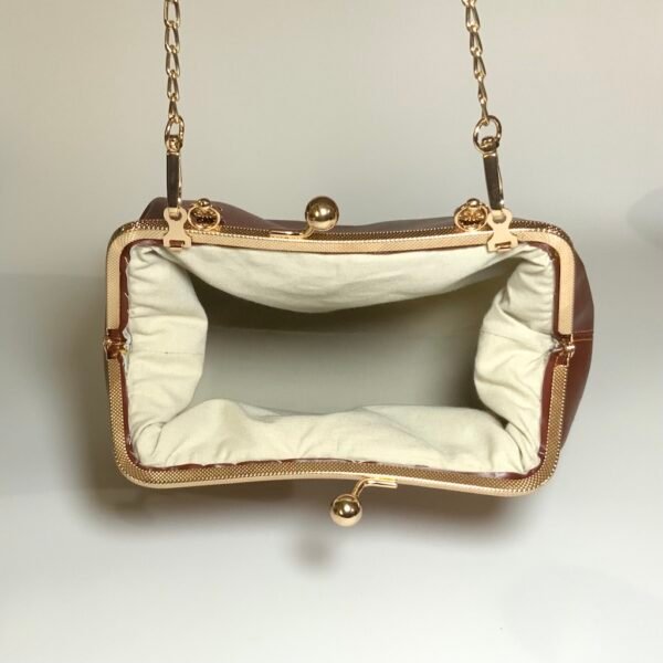 Brown Clutch (Inside) Brown Clutch (Inside)